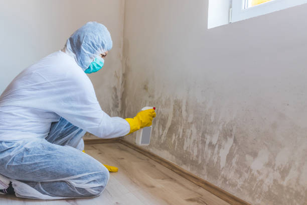 Mold Remediation specialist working in Hillsborough